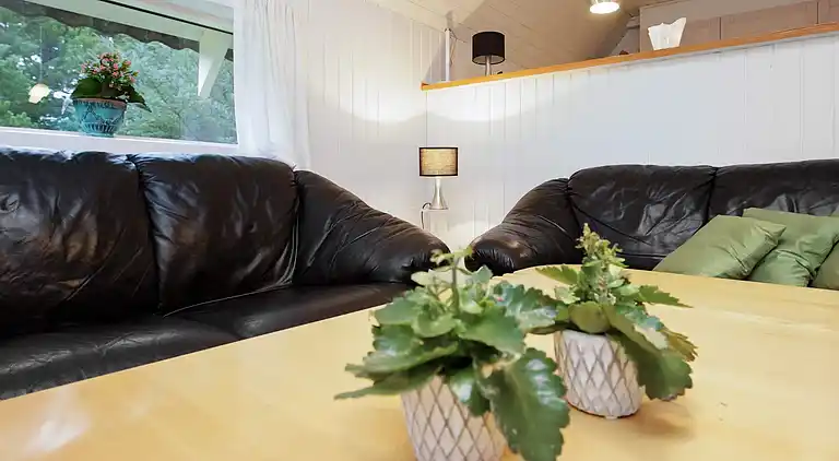 Holiday home in Thisted