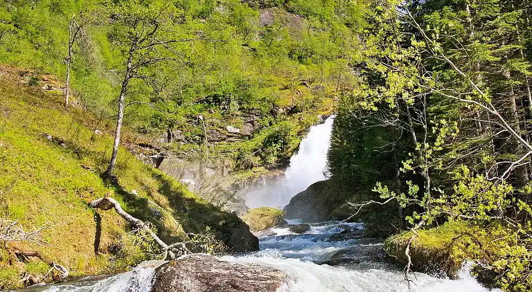 Semesterbostad i Eksingedalen