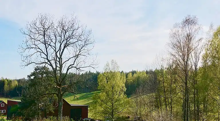 Holiday home in Åmål V