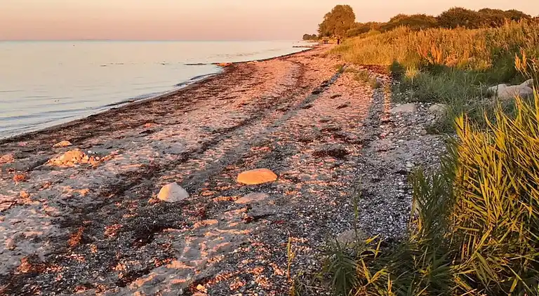 Sommerhus i Nordborg
