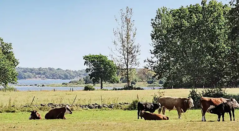 Holiday home in Ronneby S