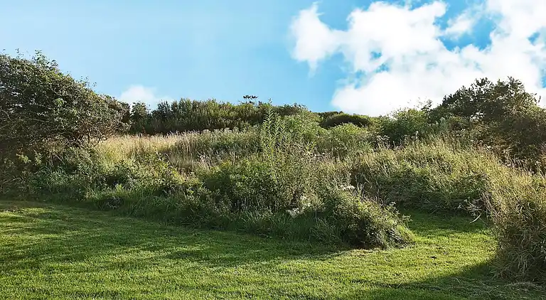 Feriebolig i Vestervig