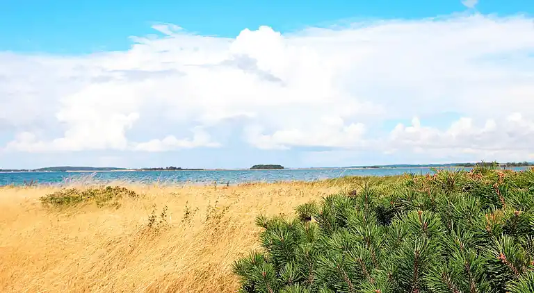 Ferienhaus in Faaborg