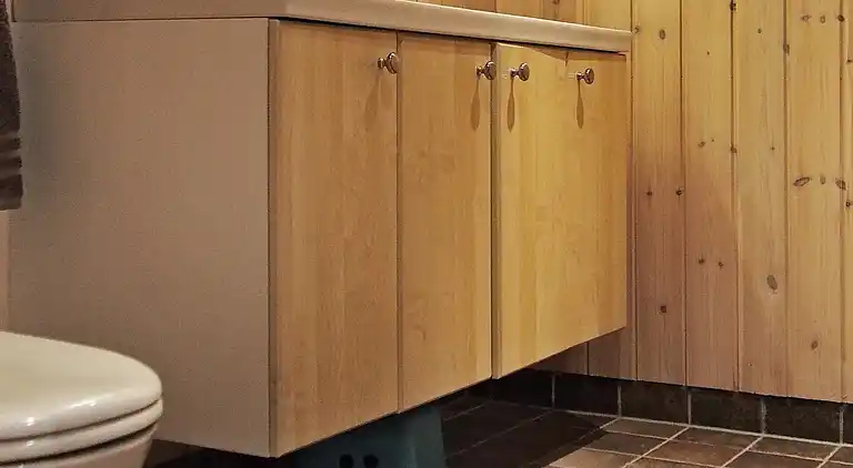 Holiday home in Åseral Municipality