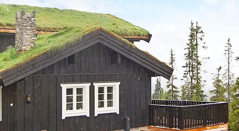 Feriebolig i Fåvang