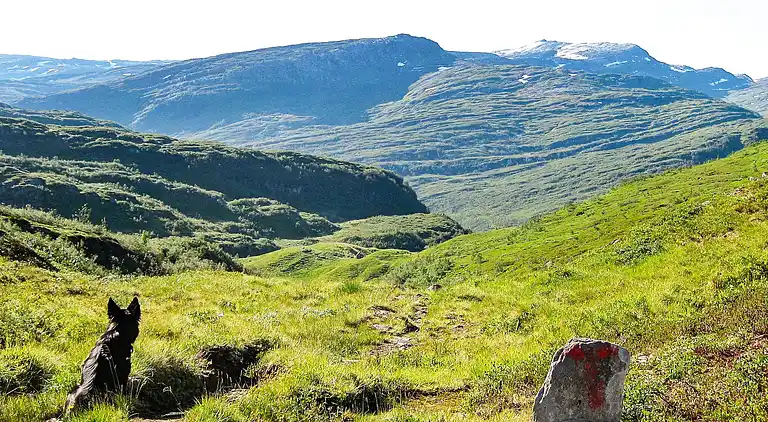 Semesterbostad i Eksingedalen