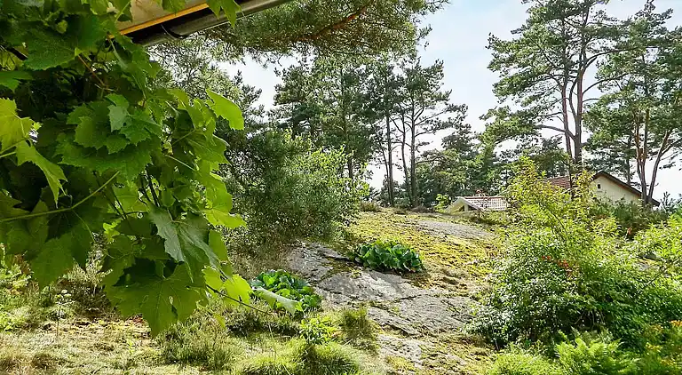 Semesterbostad i Tjörn S