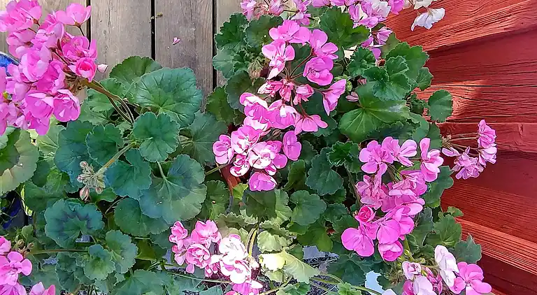 Ferienhaus in Lindesberg S