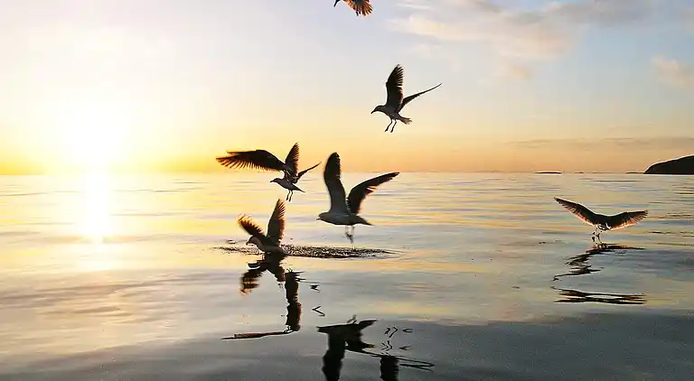 Semesterbostad i Bø