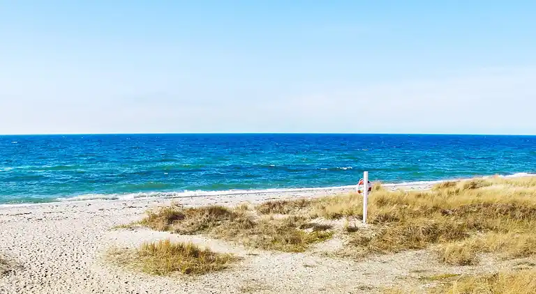 Ferienhaus in Dannemare