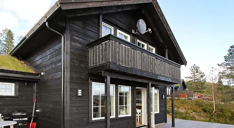 Holiday home in Åseral Municipality