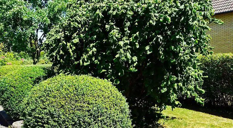 Holiday home in Gothenburg