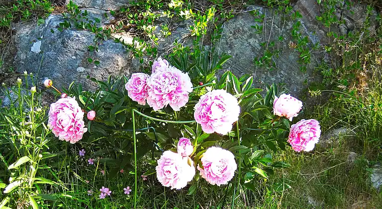 Holiday home in Tjörn S