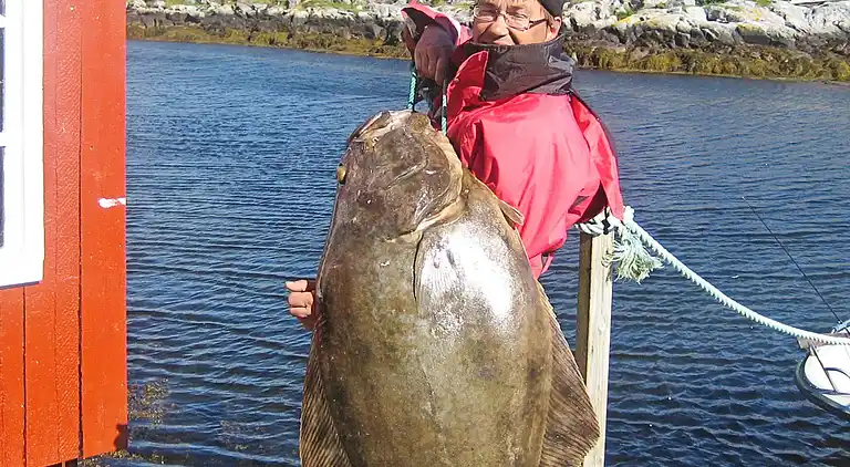 Holiday home in Titran