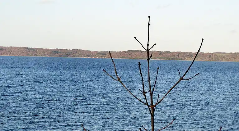 Holiday home in Fredericia Municipality