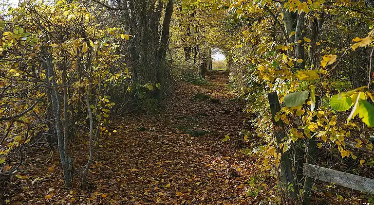 Ferienhaus in Karlskrona S