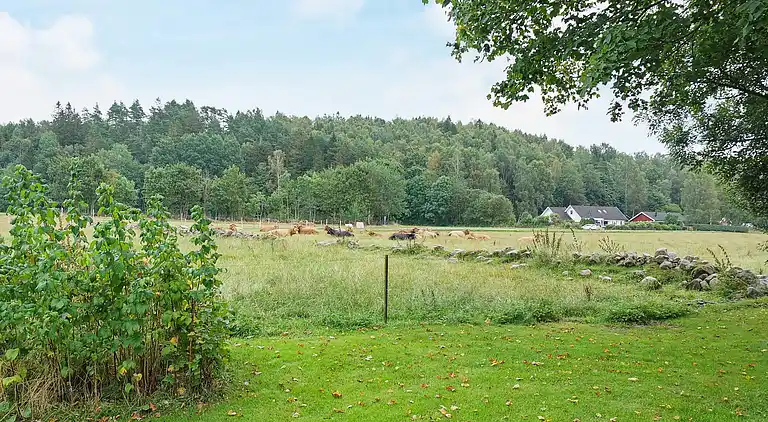 Holiday home in Rävige
