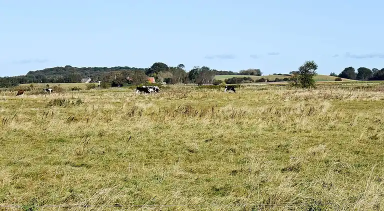 Holiday home in Mesinge