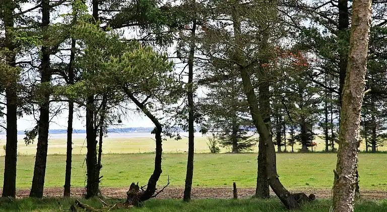 Semesterbostad i Mosevrå