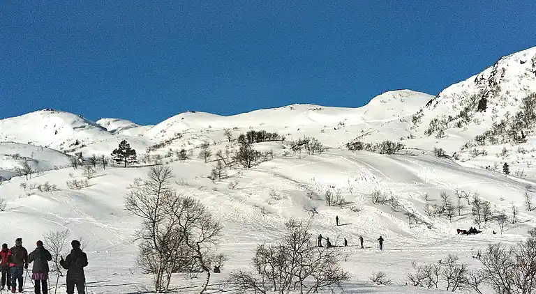 Holiday home in Åseral Municipality