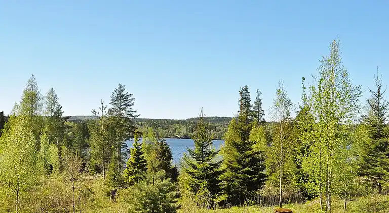 Casa vacanze in Åmål V