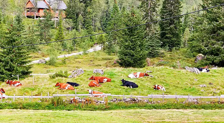 Holiday home in Eksingedalen