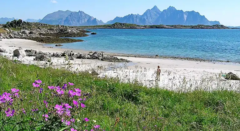 Sommerhus i Stamsund