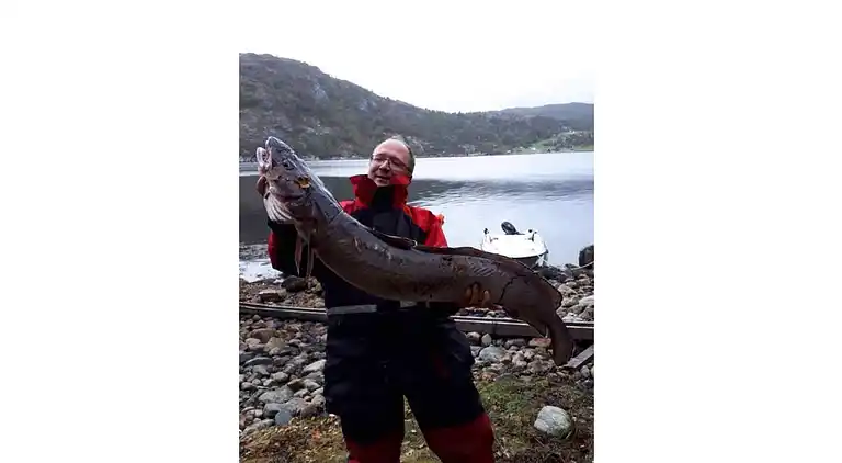 Holiday home in Kvingo