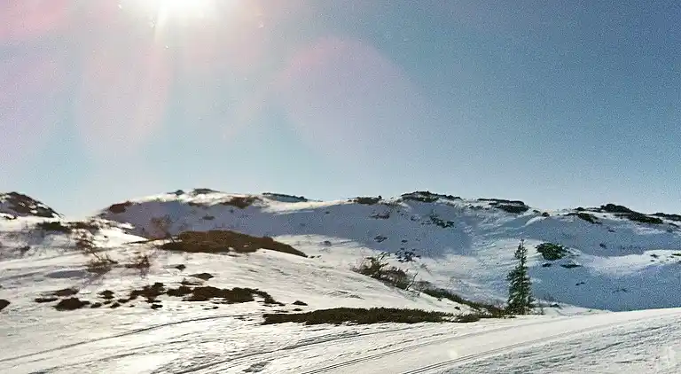 Holiday home in Åseral Municipality