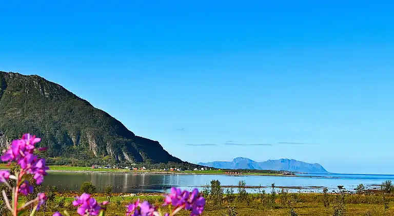 Holiday home in Sanden