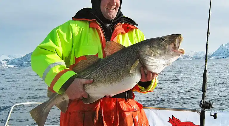 Semesterbostad i Bø
