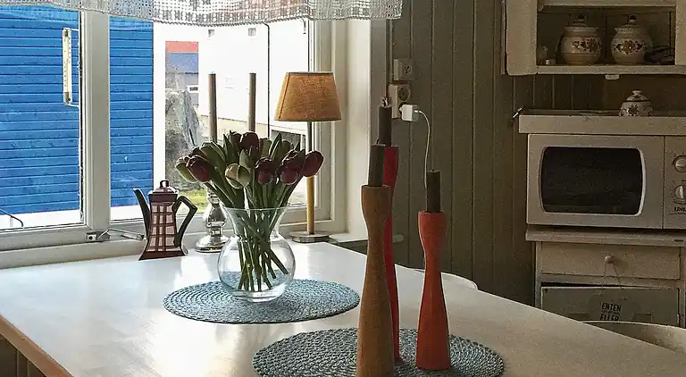 Sommerhus i Mefjordvær