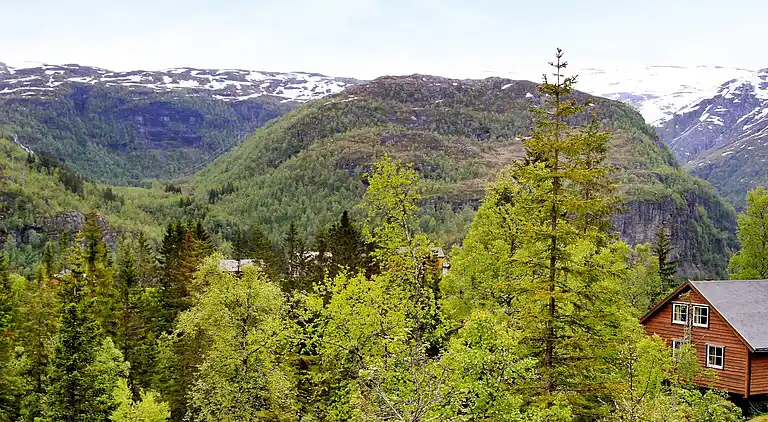 Semesterbostad i Eksingedalen