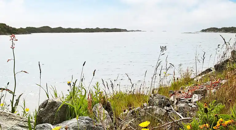 Maison de vacances en Sele