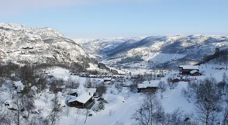 Holiday home in Åseral Municipality