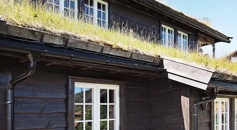 Holiday home in Åseral Municipality