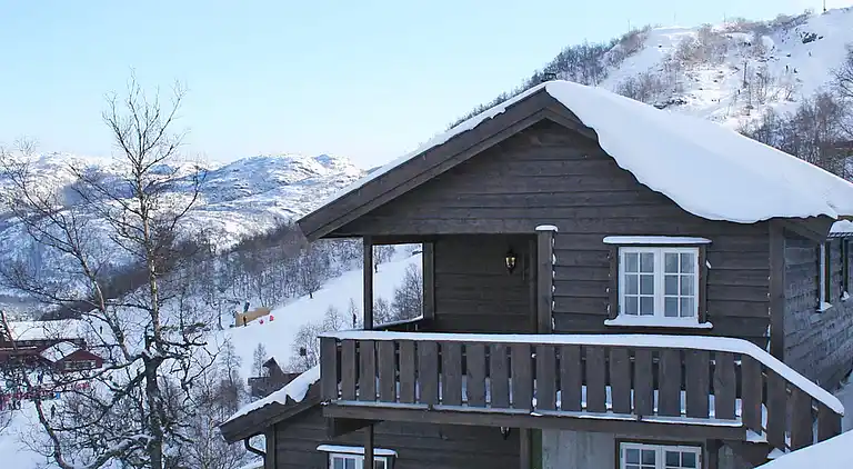 Holiday home in Åseral Municipality