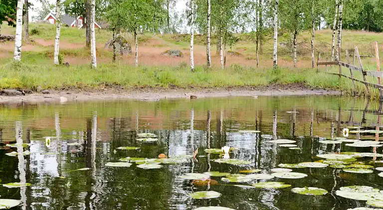 Casa vacanze in Hylte Ö