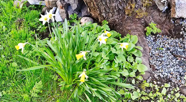 Holiday home in Moskenes Municipality