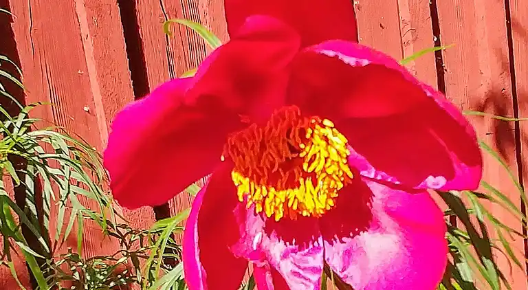 Ferienhaus in Lindesberg S