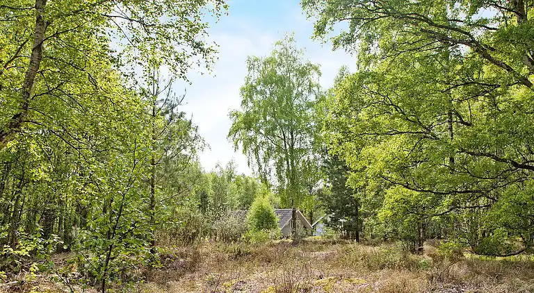 Ferienhaus auf Læsø
