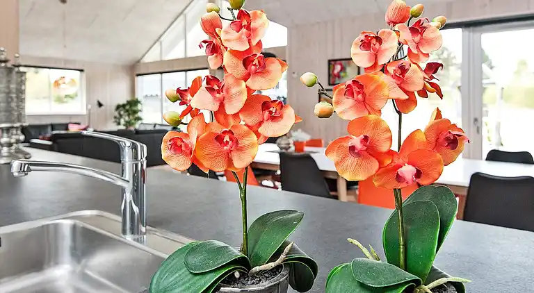 Holiday home in Fjellerup Strand