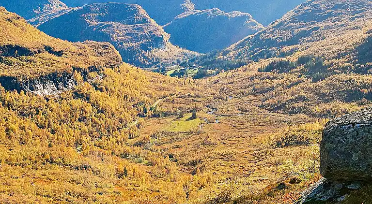 Semesterbostad i Eksingedalen