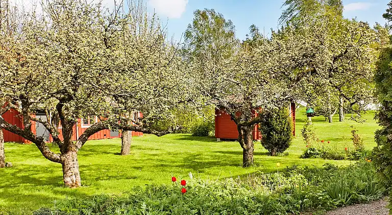 Sommerhus i Påboda