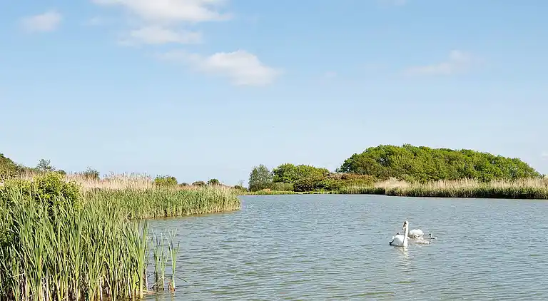 Holiday home in Juelsminde