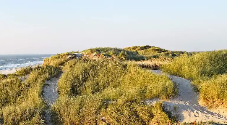 Ferienhaus in Hvide Sande