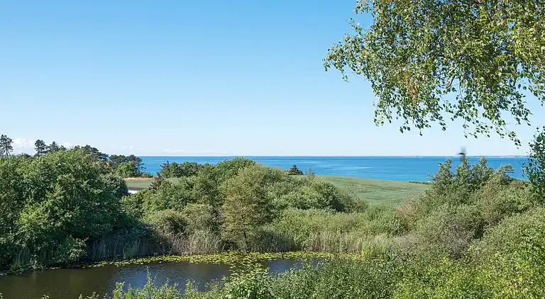 Holiday home in Knebel