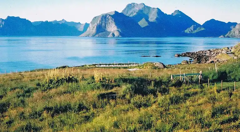 Sommerhus i Flakstad