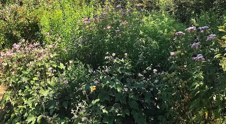 Casa vacanze in Rude