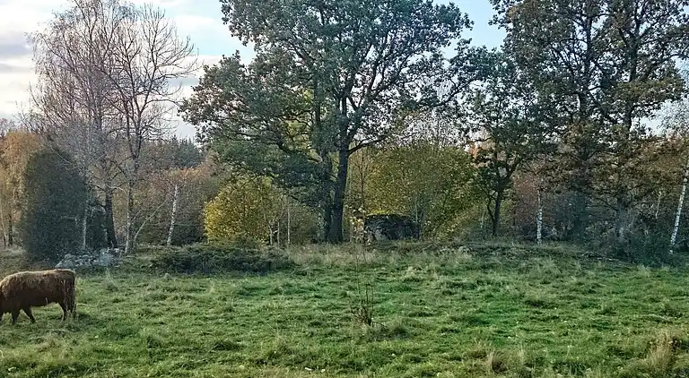 Sommerhus i Trävattna